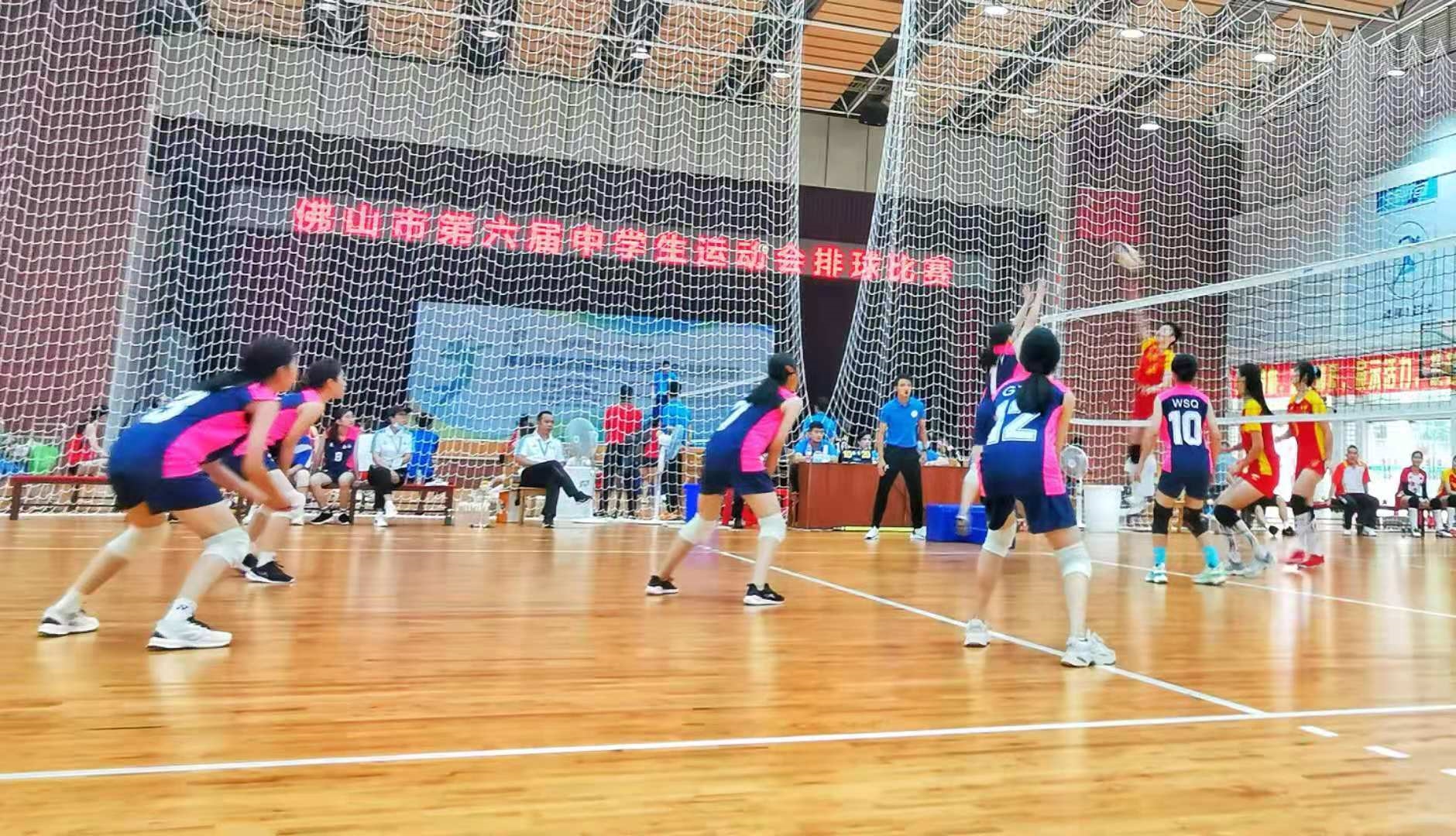 排球比赛精彩赛场